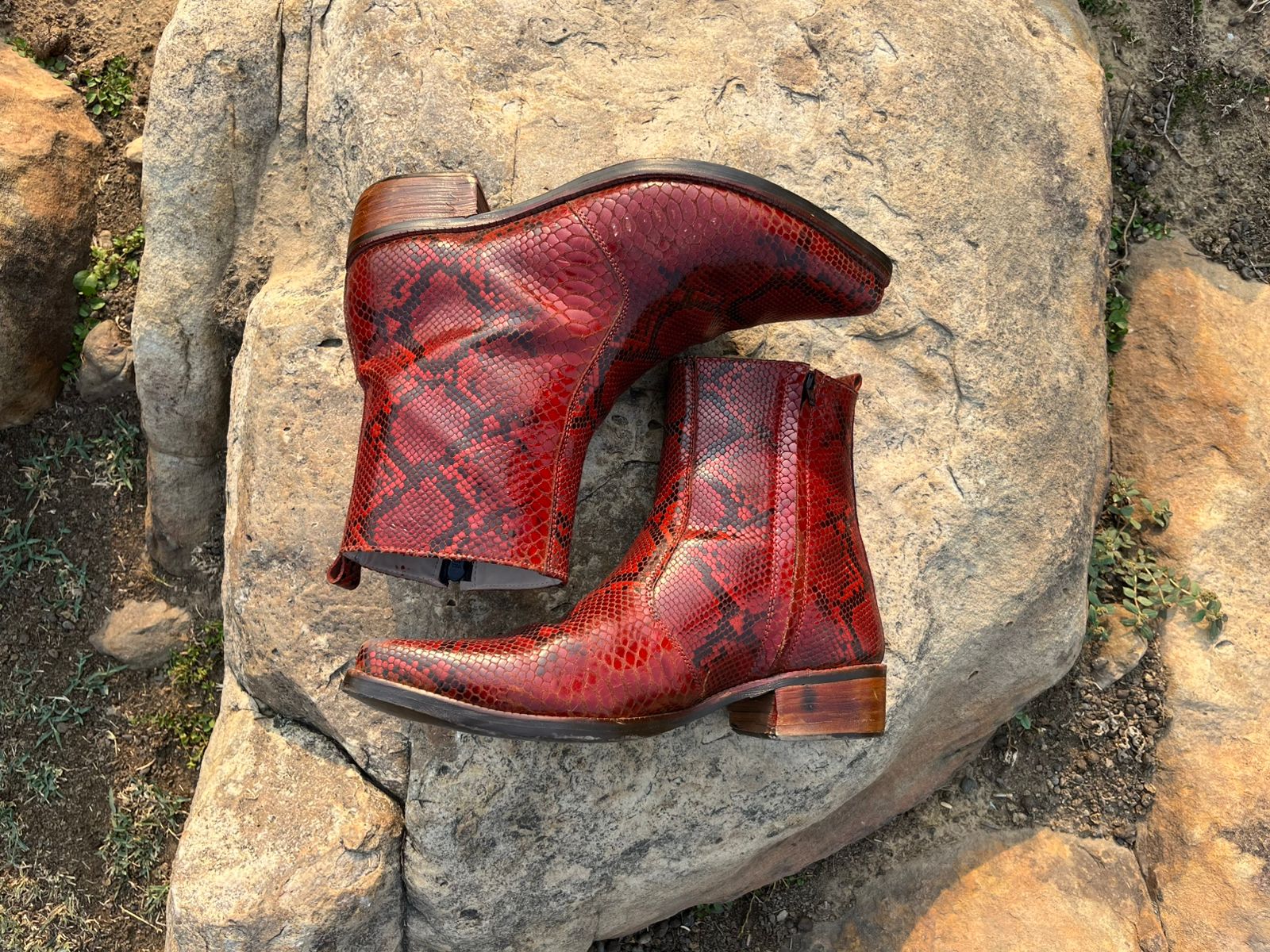 The Red Sand Boa